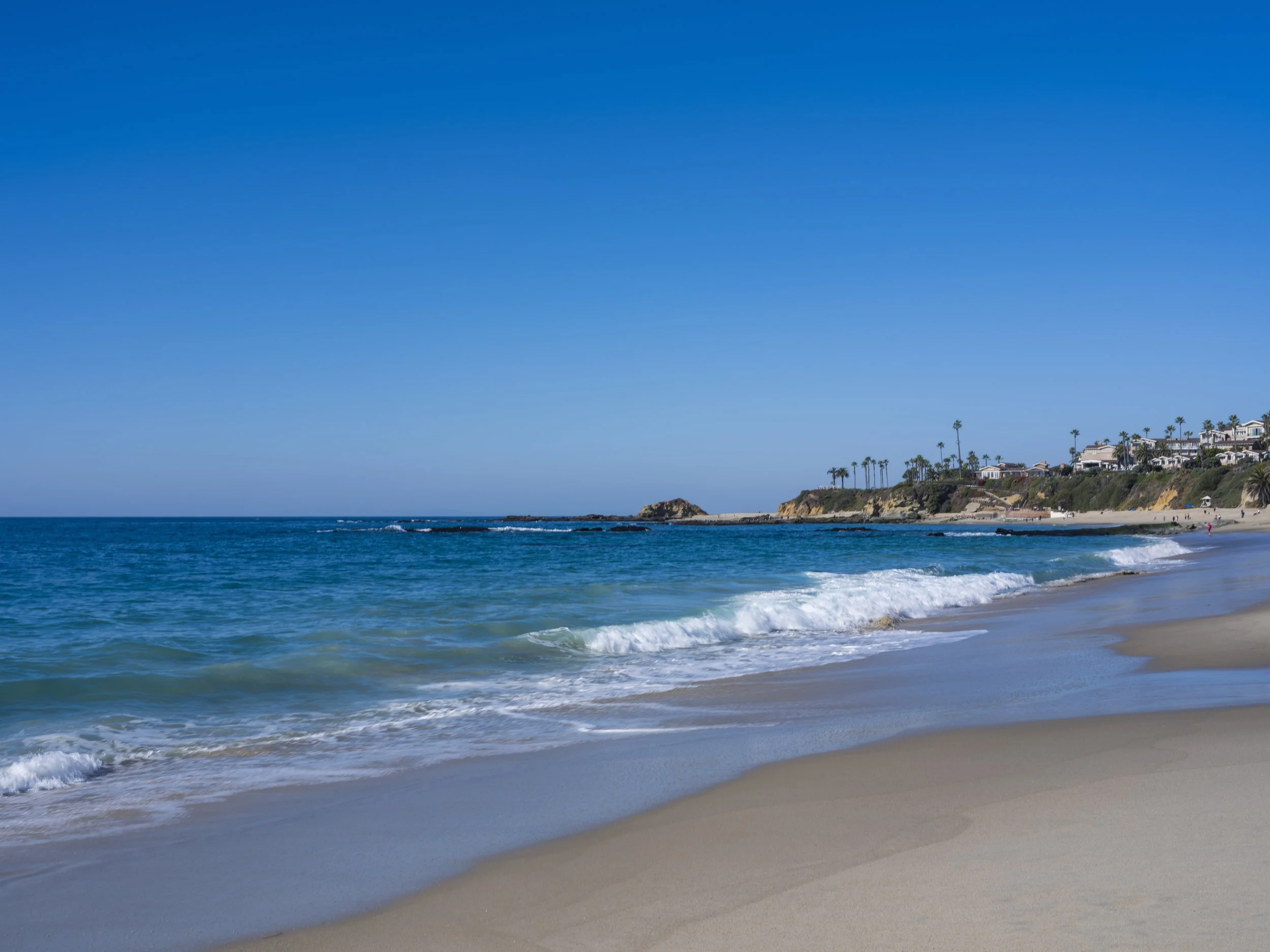 Dana Point - Laguna Beach Trip January 2025 — Gary's Photography